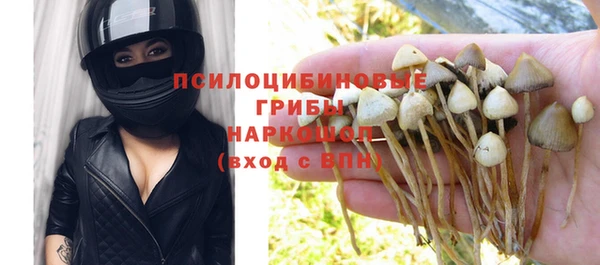 гидра Верея