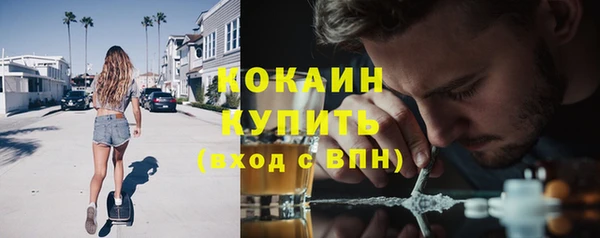 гидра Верея