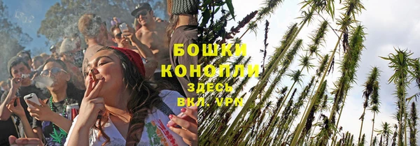 гидра Верея